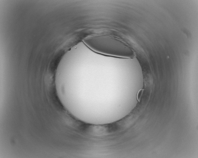 X0000115700327200911251839