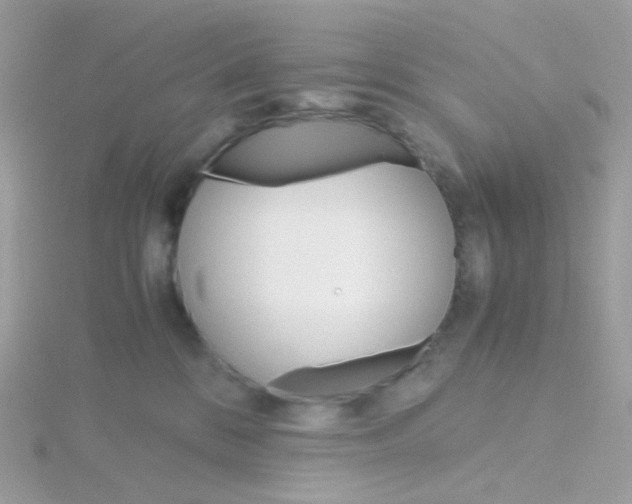 X0000115700328200911251839