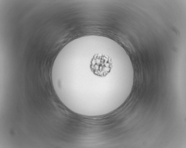 X0000115700332200911251839