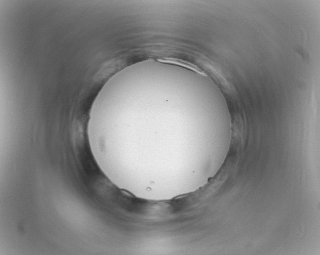 X0000115700333200911251839