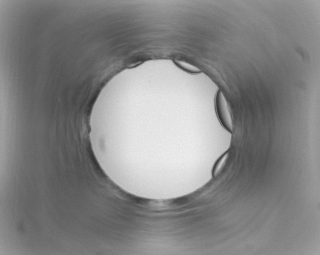 X0000115700335200911251839