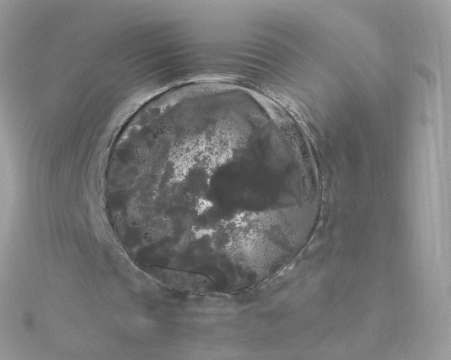 X0000115700337200911251839