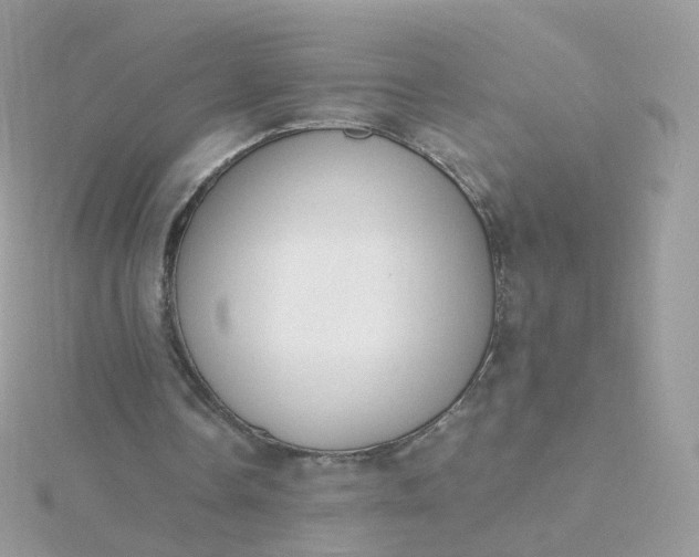 X0000115700338200911251839