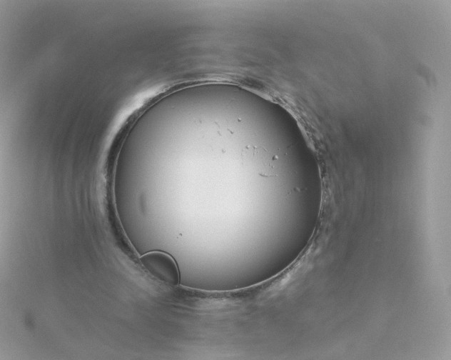 X0000115700342200911251839