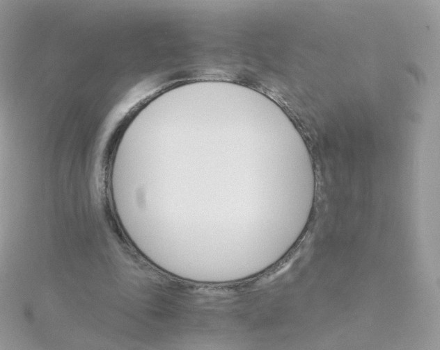 X0000115700343200911251839