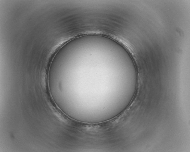 X0000115700345200911251839