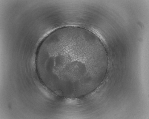 X0000115700346200911251839