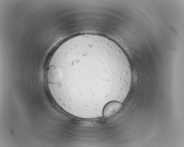 X0000115700347200911251839