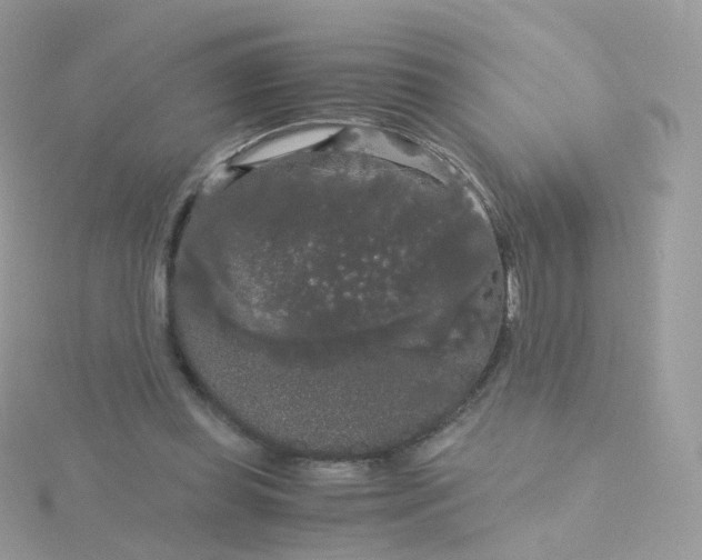 X0000115700349200911251839