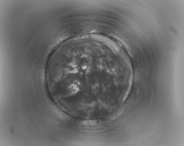 X0000115700353200911251839