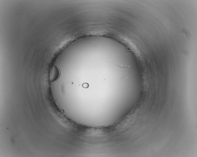 X0000115700354200911251839