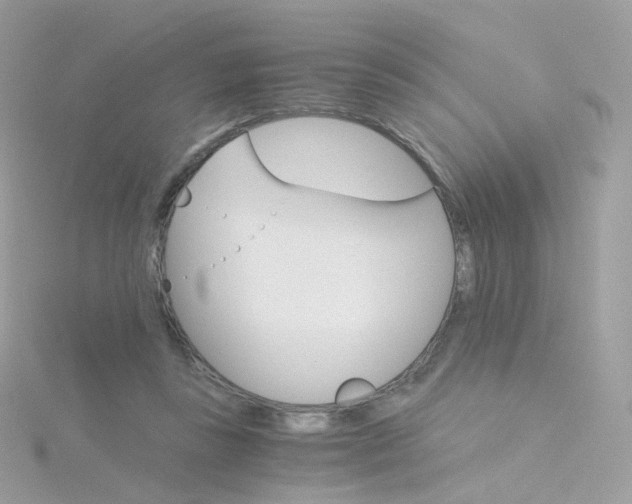 X0000115700355200911251839