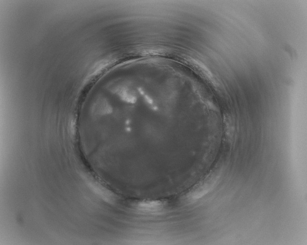 X0000115700357200911251839