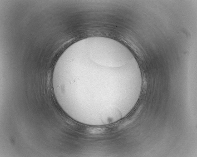 X0000115700359200911251839