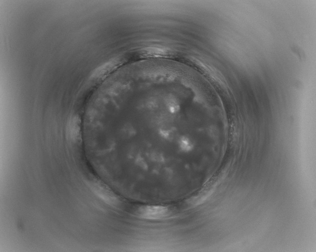 X0000115700361200911251839