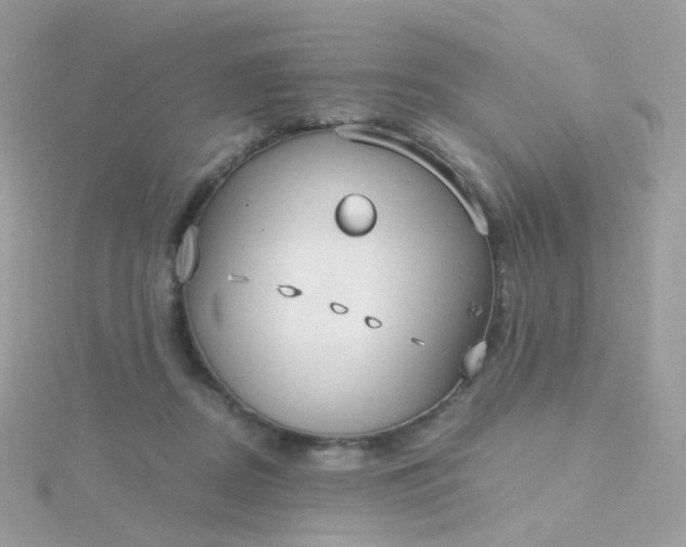 X0000115700362200911251839