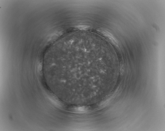 X0000115700365200911251839