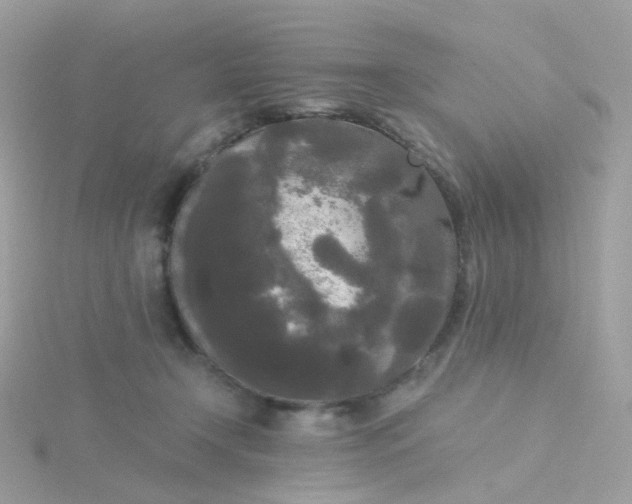 X0000115700366200911251839