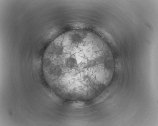 X0000115700369200911251839