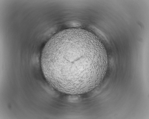 X0000115700373200911251839