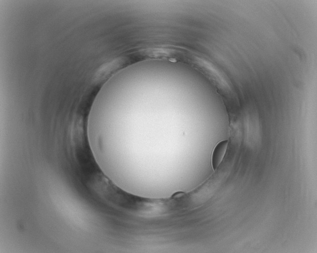 X0000115700381200911251839