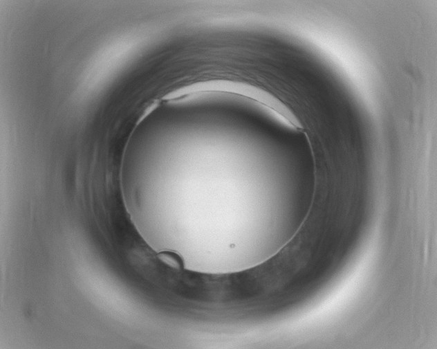 X0000115700382200911251839