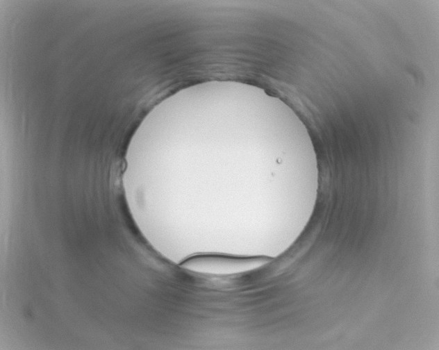 X0000115700383200911251839