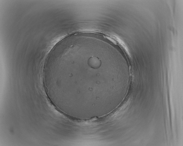 X0000115700385200911251839