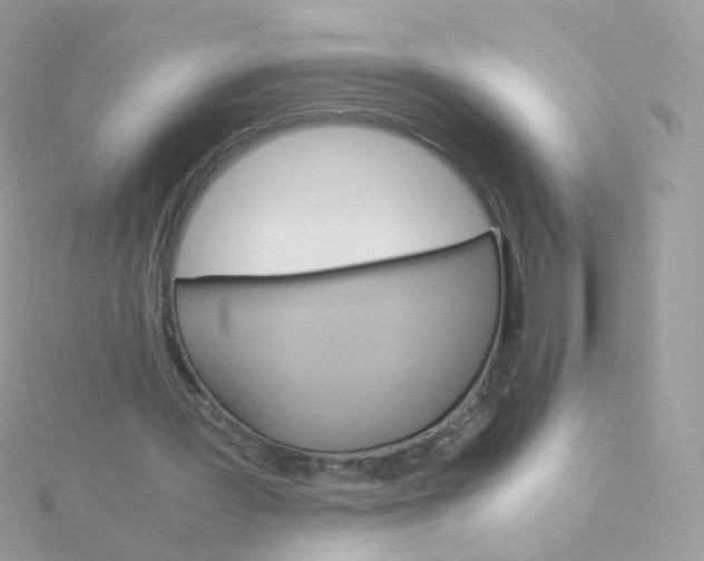 X0000115700387200911251839