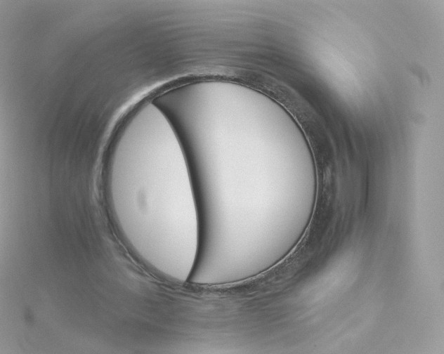 X0000115700388200911251839