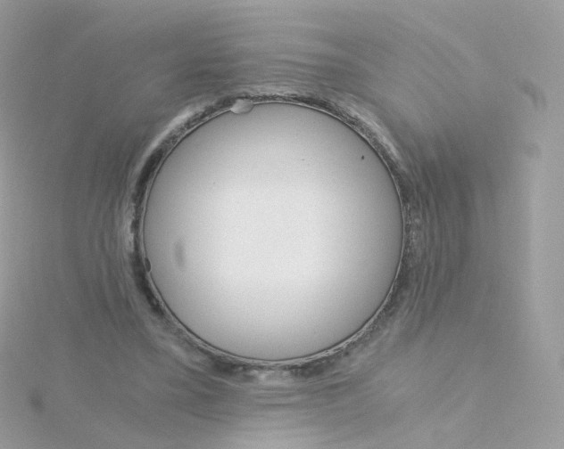 X0000115700395200911251838