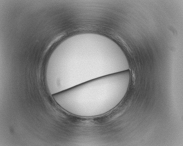 X0000115700396200911251838