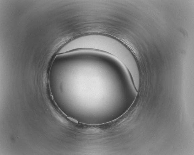 X0000115700397200911251838