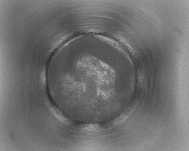 X0000115700398200911251838