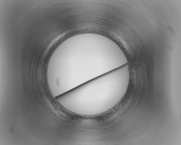 X0000115700400200911251838