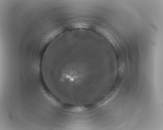 X0000115700402200911251838