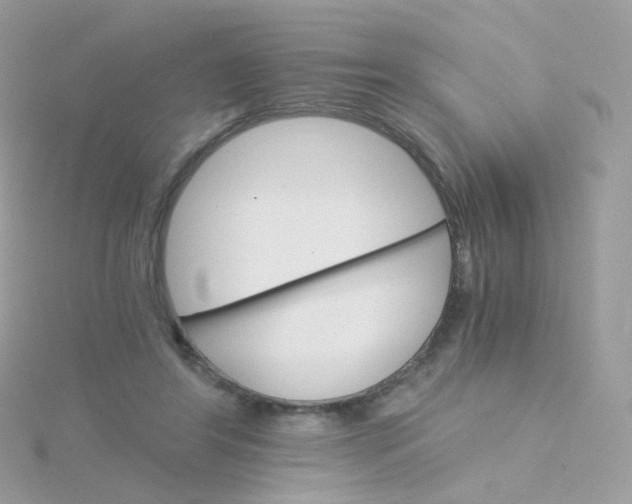 X0000115700404200911251838