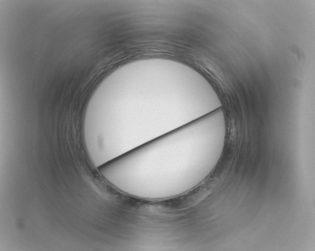 X0000115700408200911251838