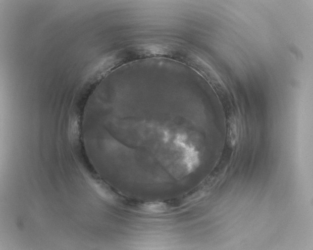 X0000115700410200911251838