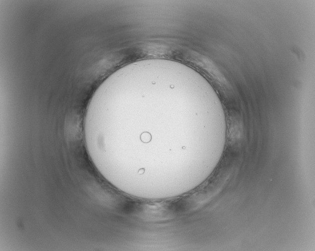 X0000115700411200911251838