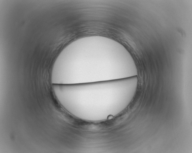 X0000115700412200911251838