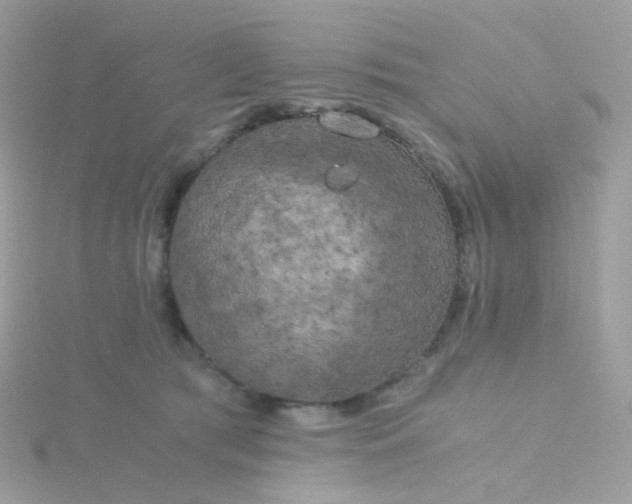 X0000115700417200911251838