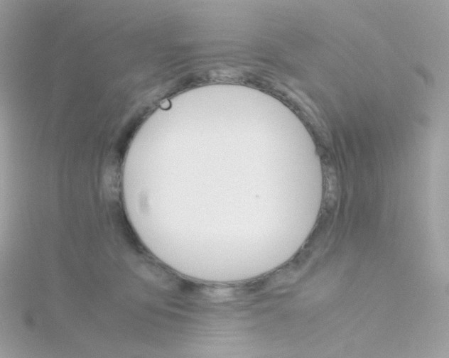 X0000115700419200911251838