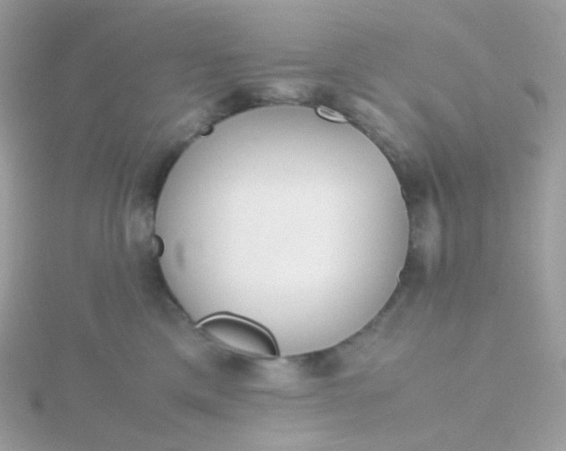 X0000115700425200911251838