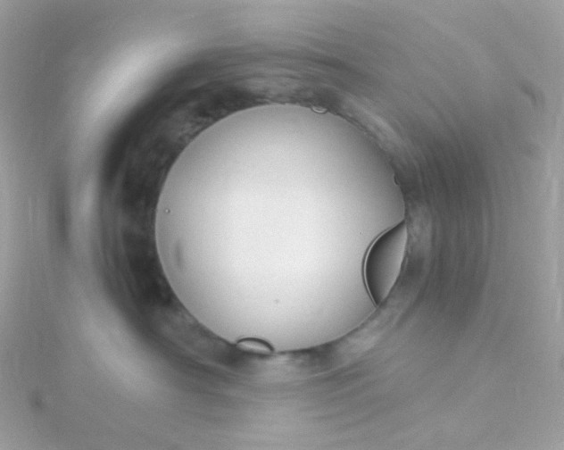 X0000115700430200911251838