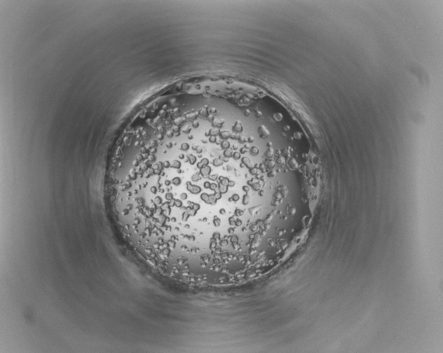 X0000115700434200911251837