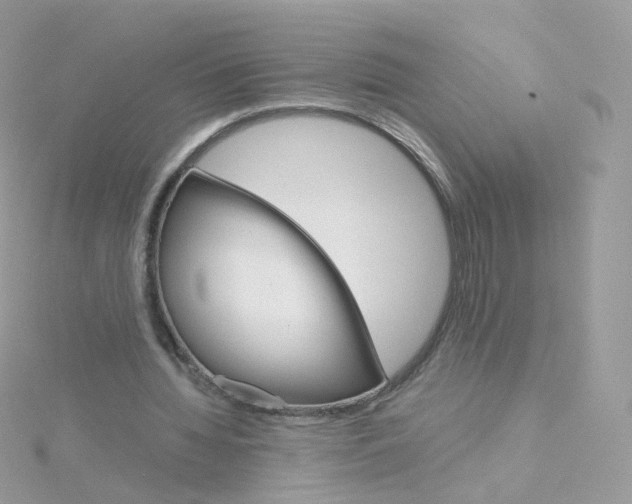 X0000115700436200911251837