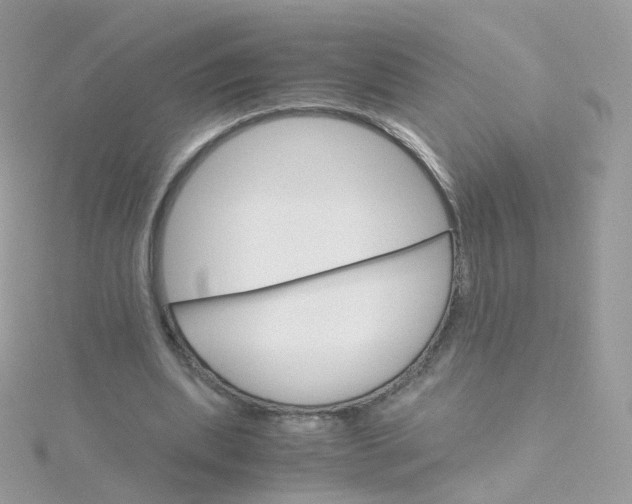 X0000115700439200911251837