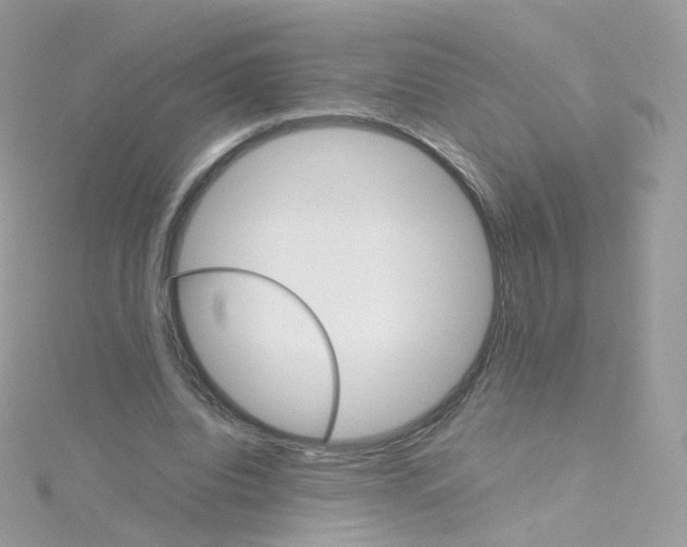 X0000115700440200911251837