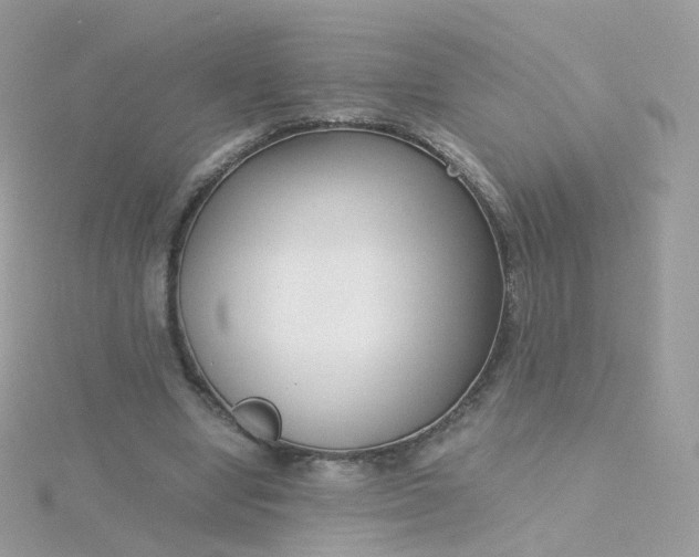 X0000115700442200911251837